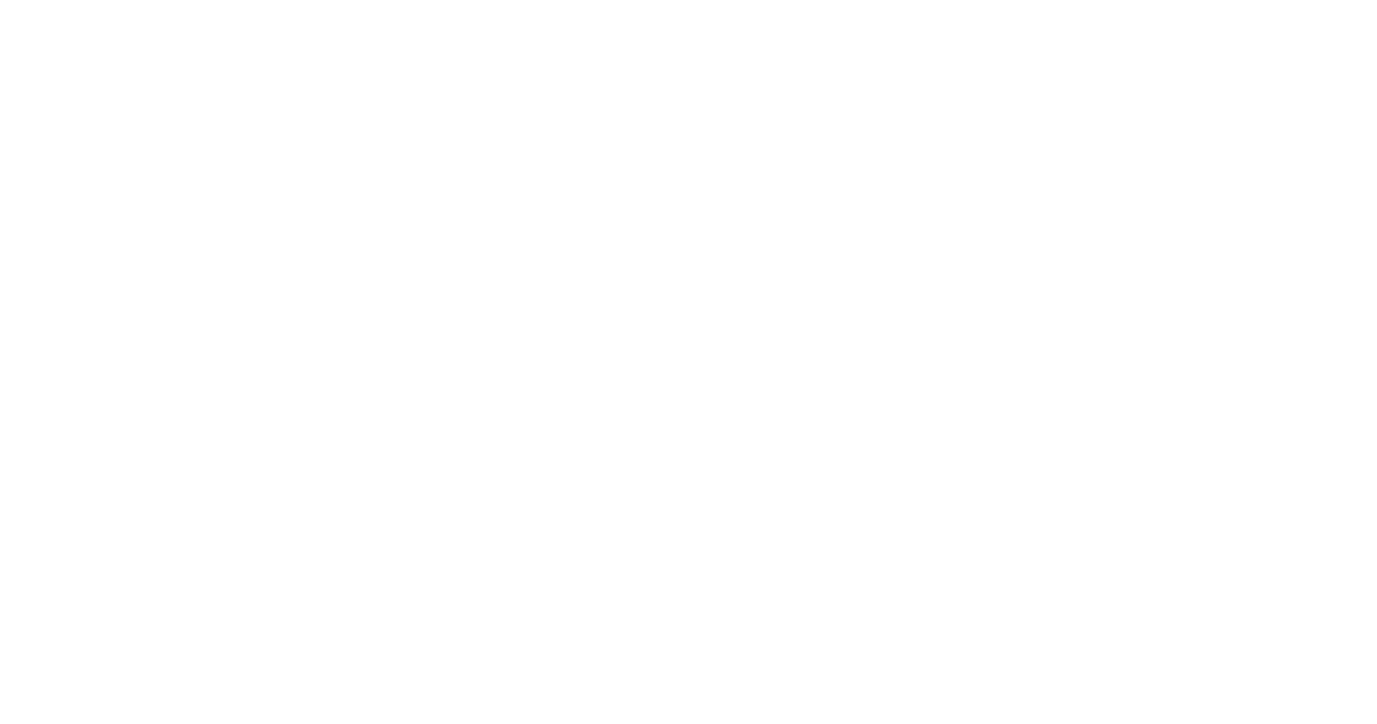 Logo anton 2018 white